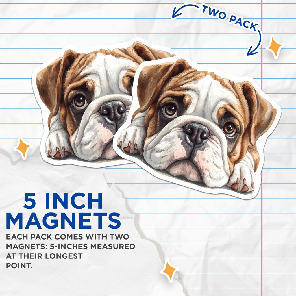 (2 Pack) Bulldog Magnets - Cute Dog Decor - Fridge Magnets - 5" On Longest Side - Premium Magnet - for Cars, Refrigerators, Toolboxes, Lockers - Made in USA - MAG15928