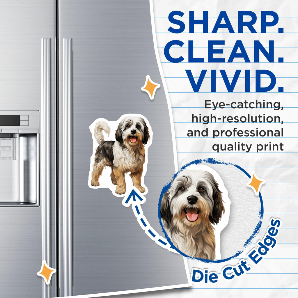 (2 Pack) Shaggy Dog Magnets - Cute Pet Lover Refrigerator - Animal Art Decor Accent - 5 Inches On Longest Side - Thick Durable Magnet - Made in USA - MAG26384