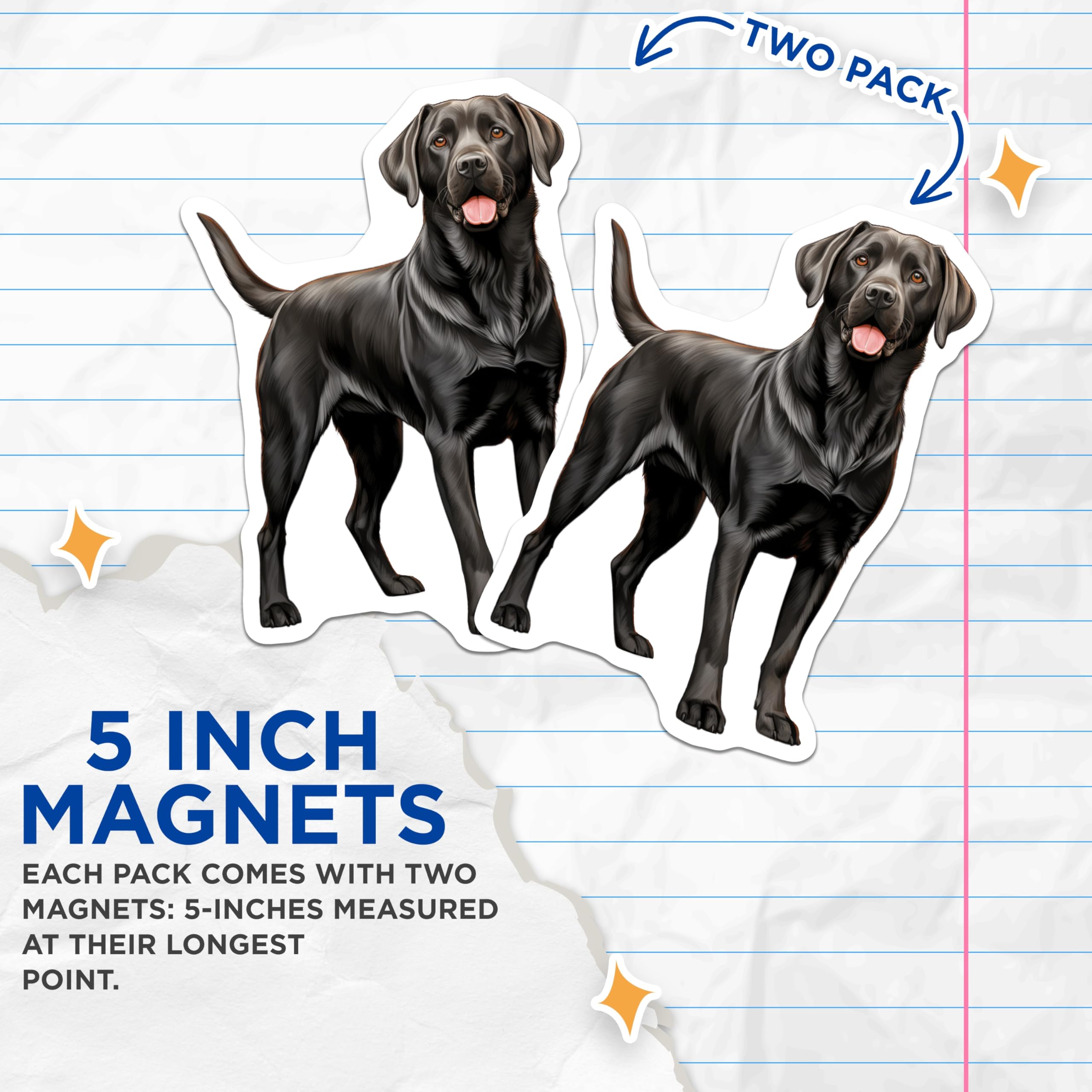(2 Pack) Black Labrador Retriever Magnets - Pet Lover Decor - Dog Breed Art - Canine Kitchen Fridge Magnet - 5 Inches On Longest Side - Thick Durable Magnet - Made in USA - MAG24362