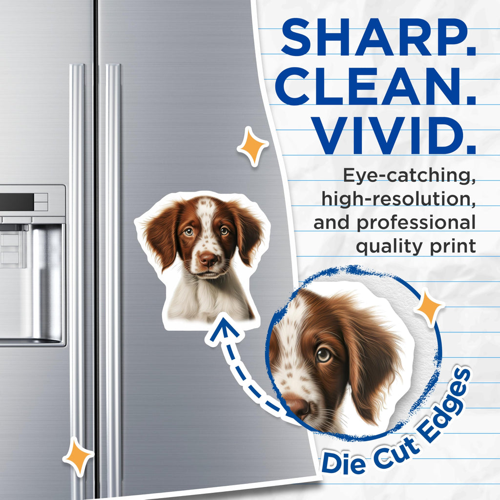 (2 Pack) Brittany Spaniel Puppy Magnets - Cute Dog Art - Pet Lover Fridge Decor - 5 Inches On Longest Side - Thick Durable Magnet - Made in USA - MAG24415