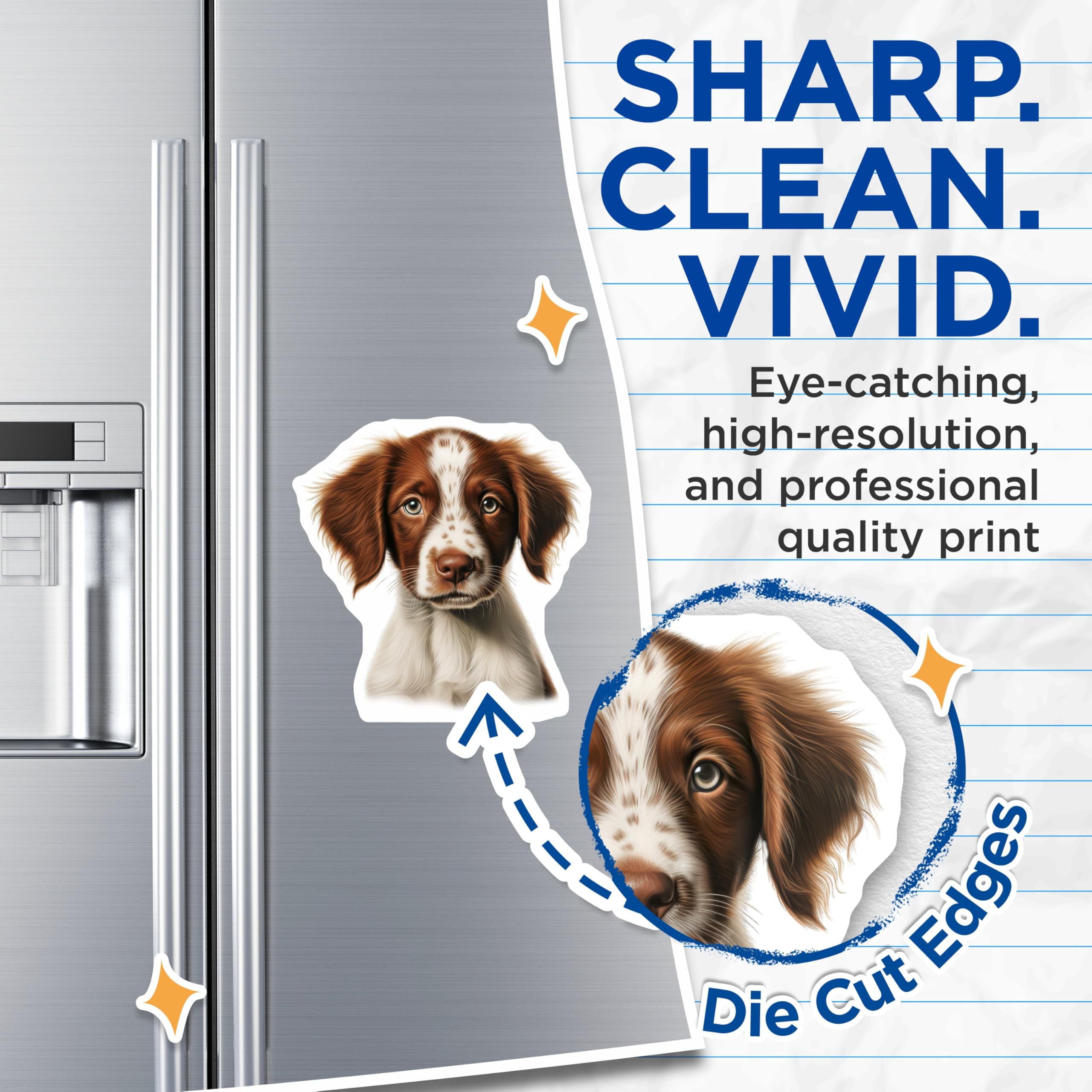 (2 Pack) Brittany Spaniel Puppy Magnets - Cute Dog Art - Pet Lover Fridge Decor - 5 Inches On Longest Side - Thick Durable Magnet - Made in USA - MAG24415