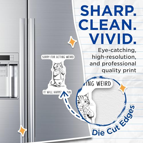 (2 Pack) Sorry for Acting Weird Magnets - Funny Cat Art - Humorous Animal Magnets - 5" On Longest Side - for Cars, Fridges, Toolboxes - Made in USA - MAG6745