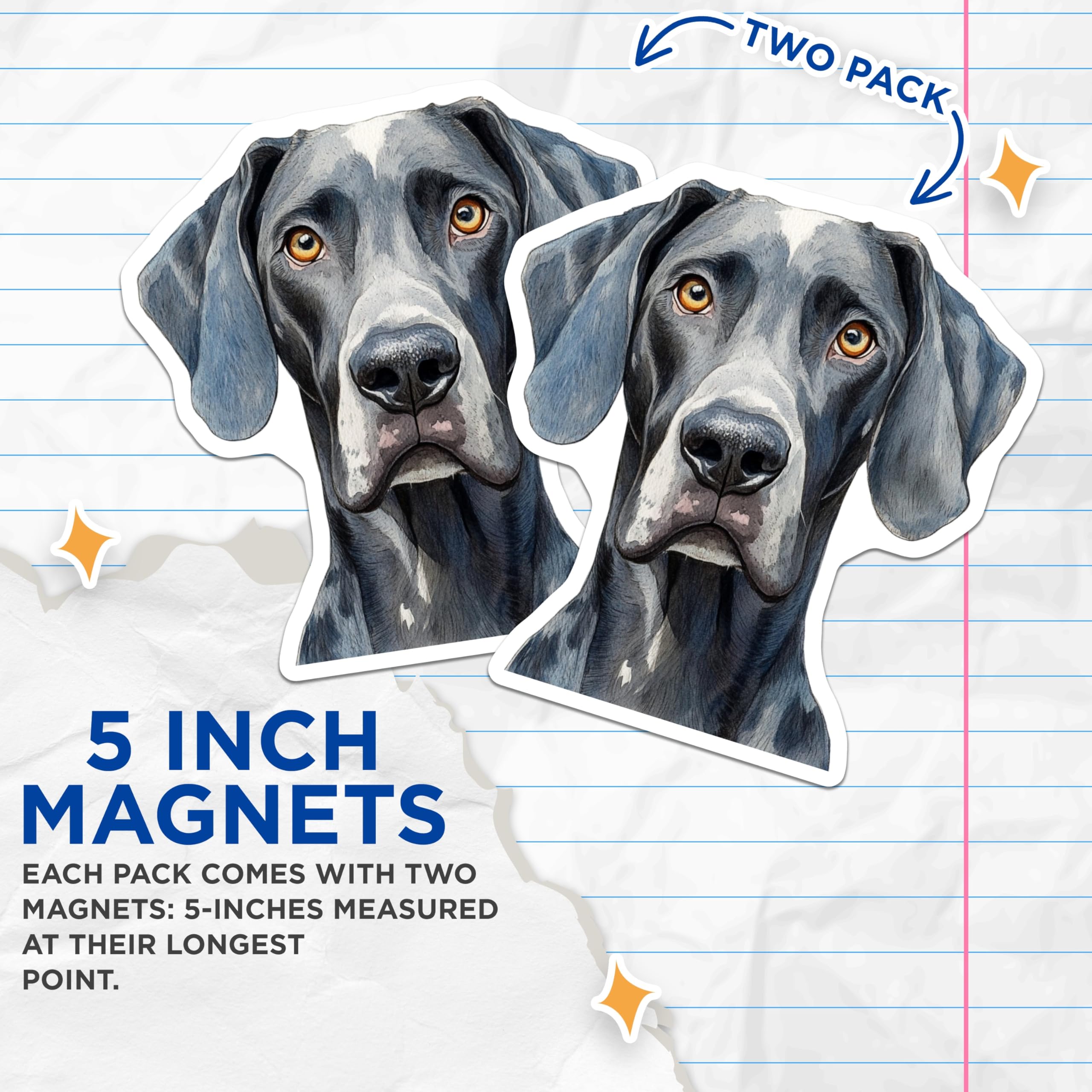 (2 Pack) Weimaraner Dog Magnets - Funny Dog Portrait - Fridge Decor Gift - 5" On Longest Side - Premium Magnet - for Cars, Refrigerators, Toolboxes, Lockers - Made in USA - MAG15636