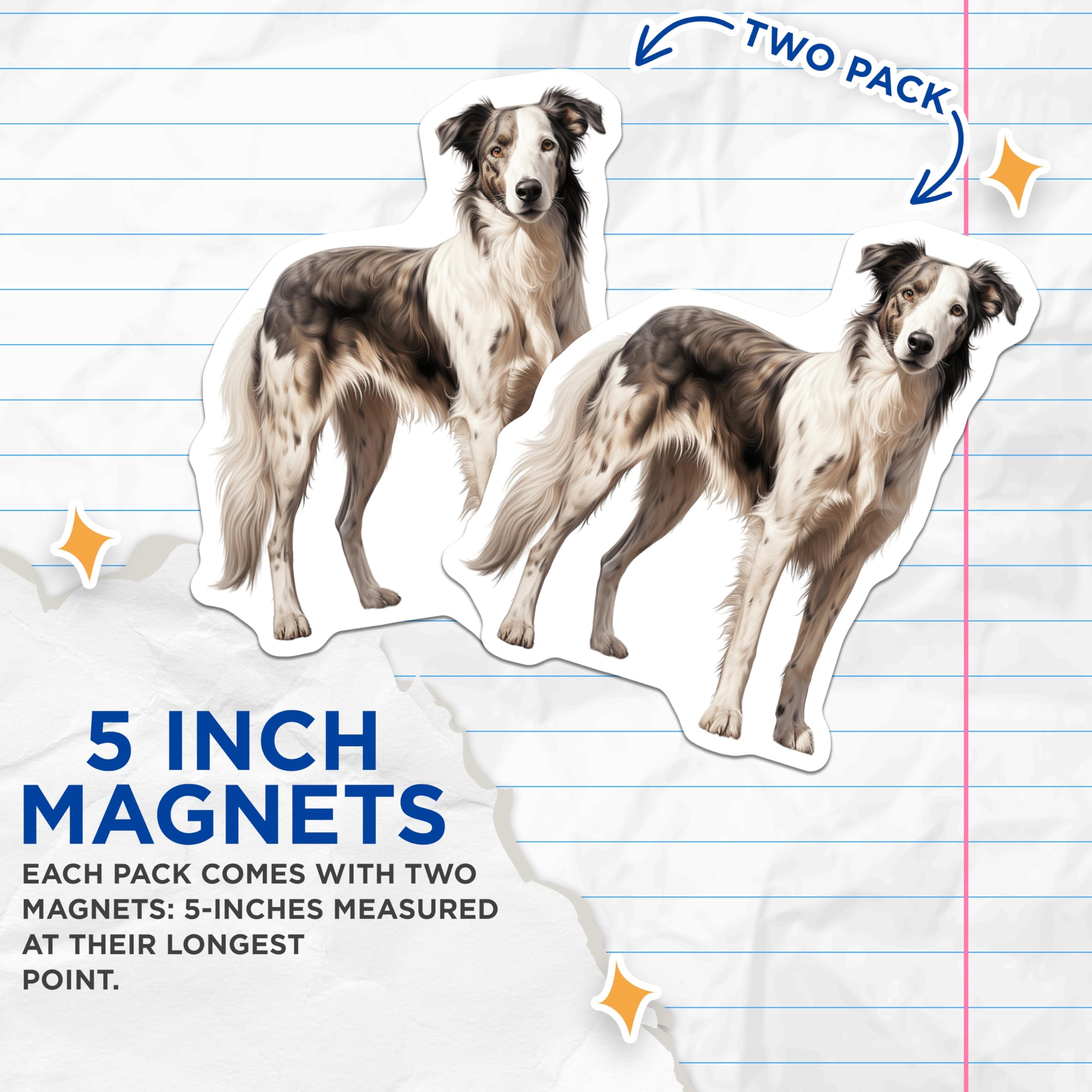 (2 Pack) Border Collie Dog Magnets - Merle Dog Portrait - Animal Lover Fridge Decor - Pet Owners Kitchen Magnets - 5 Inches On Longest Side - Thick Durable Magnet - Made in USA - MAG27858