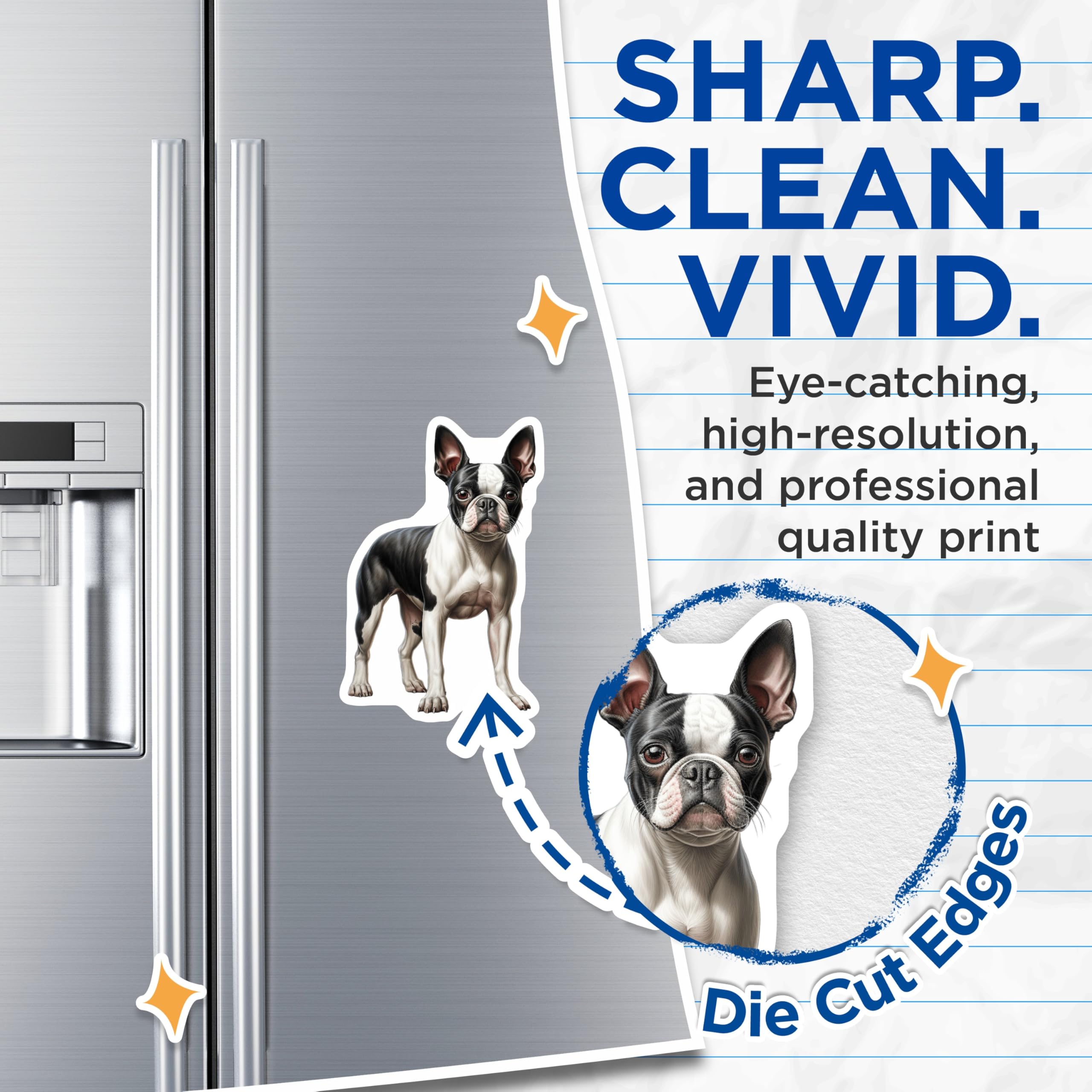 (2 Pack) Boston Terrier Dog Magnets - Adorable Canine Illustration Decor - Pet Breed Lover Refrigerator and Locker Art - 5 Inches On Longest Side - Thick Durable Magnet - Made in USA - MAG24379