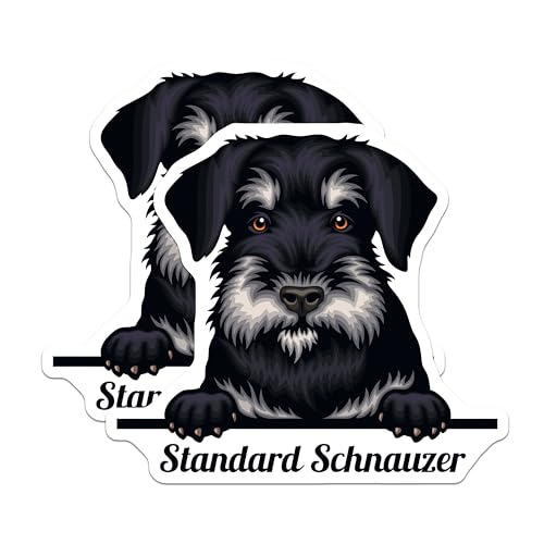 (2 Pack) Standard Schnauzer Dog Stickers - Pet Lover Stickers - Cute Animal Stickers - 5" On Longest Side - Sticks to Smooth Flat Surfaces - Made in USA - BMCS4225
