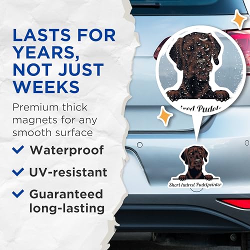 (2 Pack) Short Haired Pudelpointer Magnets - Dog Lover - Cute Pet Fridge Magnets - 5" On Longest Side - for Cars, Fridges, Toolboxes - Made in USA - MAG4228