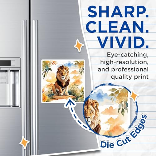 (2 Pack) Lion Magnets Magnets - Lion Safari Decor - 5" On Longest Side - Made in USA - Sticks to Refrigerators & Metal Surfaces - MAG8694