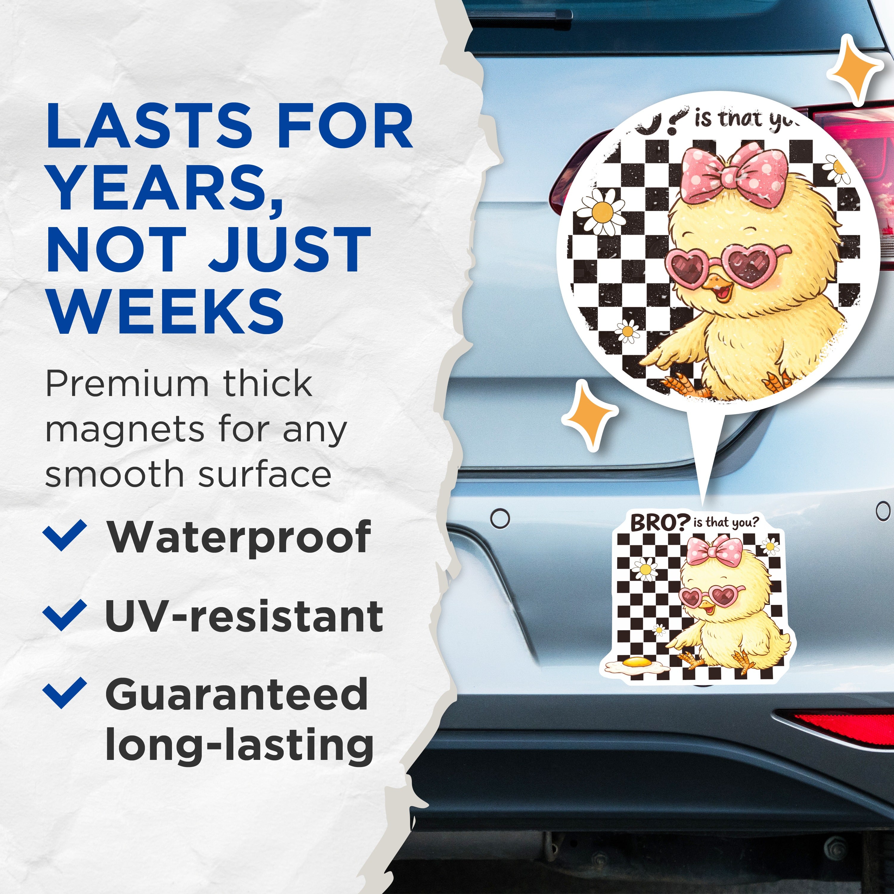 (2 Pack) Funny Chick Magnets - Bro is that You Egg - Y2K Aesthetic Fridge Magnets - 5 Inches On Longest Side - Thick Durable Magnet - Made in USA - MAG38541