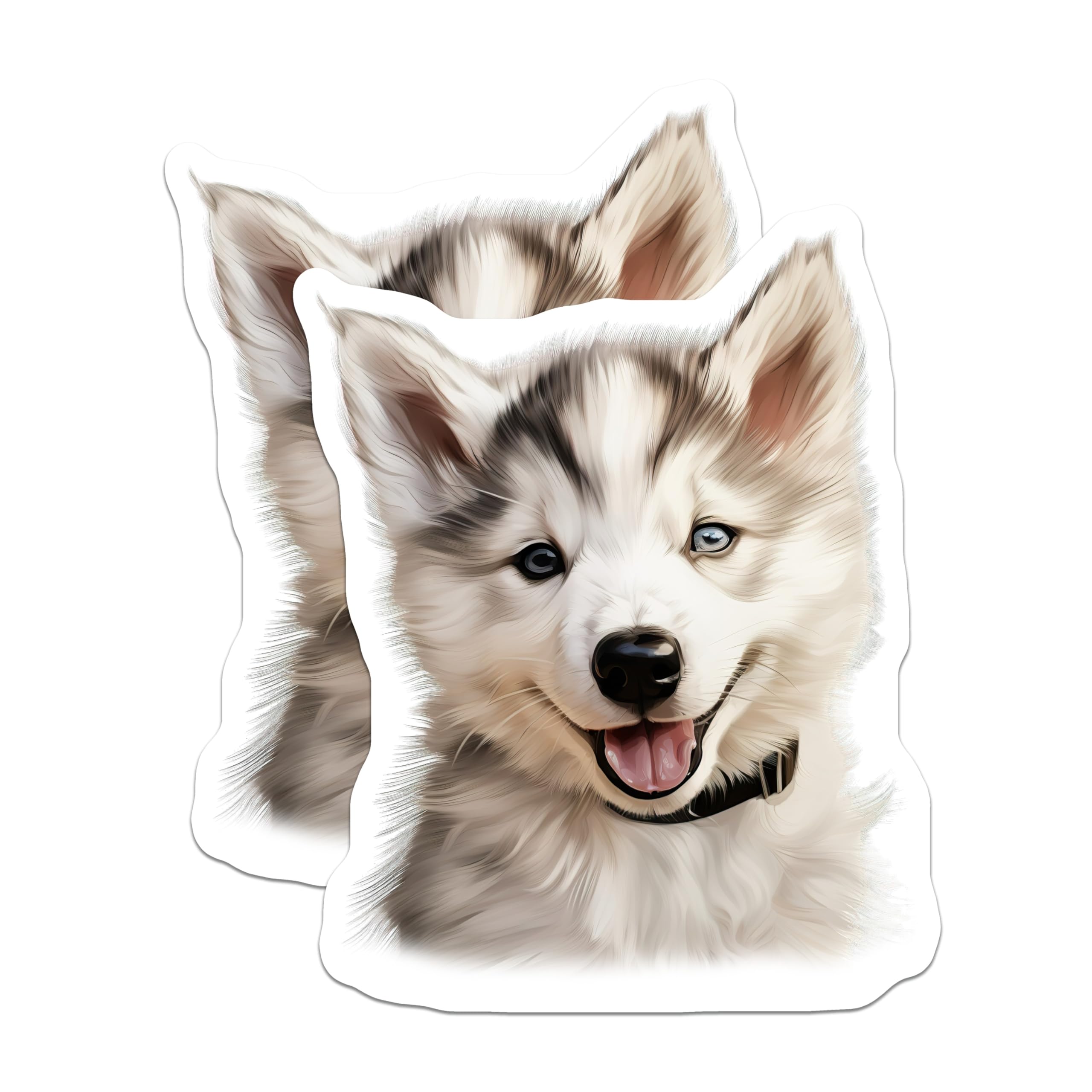 (2 Pack) Adorable Husky Puppy Magnets - Blue Eyed Dog Decor - Cute Pet Animal Fridge Accents - 5 Inches On Longest Side - Thick Durable Magnet - Made in USA - MAG30614
