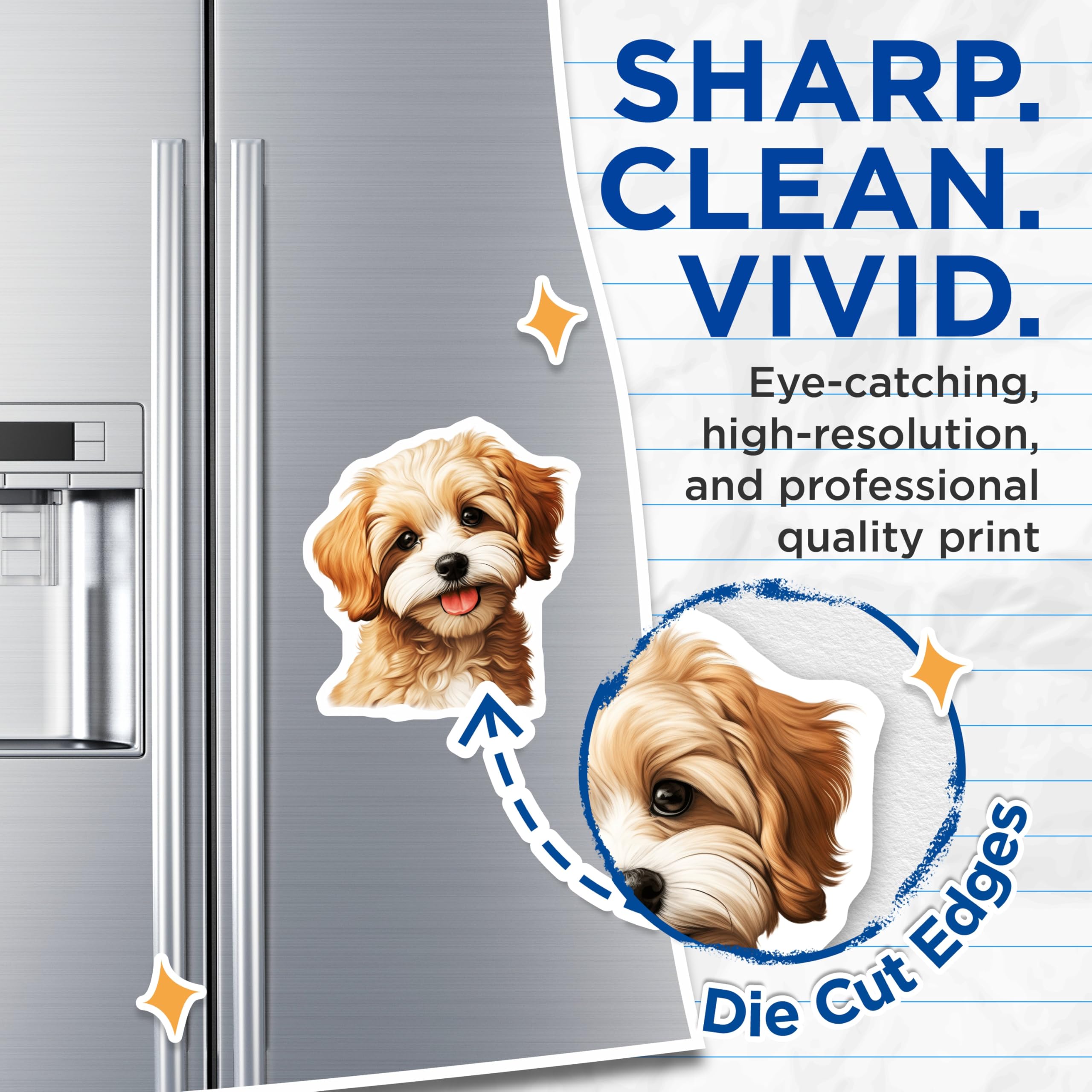 (2 Pack) Cavapoo Puppy Magnets - Cute Fluffy Dog Decor - Refrigerator Locker Magnets - 5 Inches On Longest Side - Thick Durable Magnet - Made in USA - MAG23385