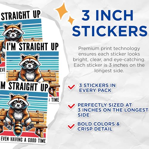 (3 Pack) Moody Raccoon Decals - Funny Animal Stickers - Laptop Decals - 3 Inches On Longest Side - Easy Peel & Apply - Made in USA - 3MCS0932