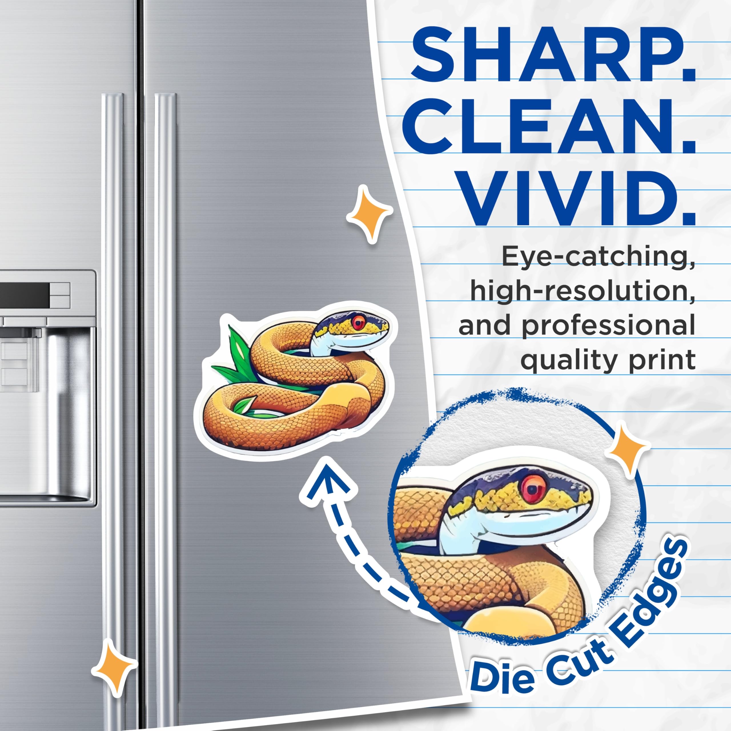 (2 Pack) Ball Python Snake Magnets - Cute Coiled Serpent Art Decor - Reptile Lover Kitchen Locker Fridge Accessory - 5 Inches On Longest Side - Thick Durable Magnet - Made in USA - MAG21538
