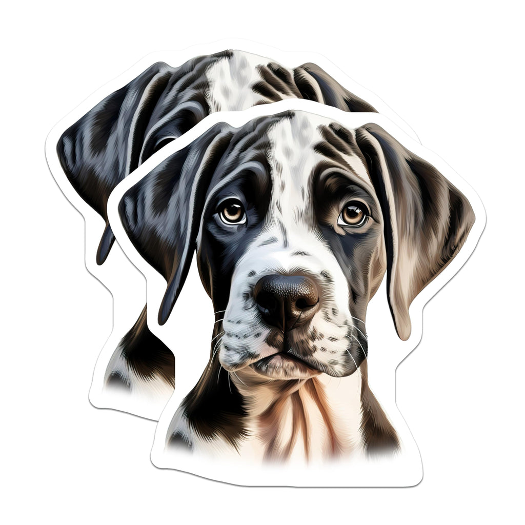 (2 Pack) Great Dane Puppy Magnets - Harlequin Dog Art - Pet Lover Home Decor - 5 Inches On Longest Side - Thick Durable Magnet - Made in USA - MAG23363