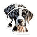 (2 Pack) Great Dane Puppy Magnets - Harlequin Dog Art - Pet Lover Home Decor - 5 Inches On Longest Side - Thick Durable Magnet - Made in USA - MAG23363