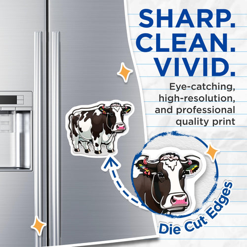 (2 Pack) Adorable Holstein Cow Magnets - Farmhouse Kitchen Refrigerator Decor - Whimsical Dairy Farm Animal Art Collection - 5 Inches On Longest Side - Thick Durable Magnet - Made in USA - MAG21420