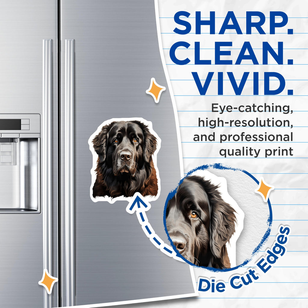(2 Pack) Newfoundland Dog Portrait Magnets - Majestic Black Newfie Art Decor - Large Breed Canine Pet Fridge Accessory - 5 Inches On Longest Side - Thick Durable Magnet - Made in USA - MAG24518
