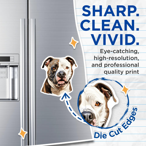 (2 Pack) American Bulldog Magnets - Pitbull Dog Mom Decor - Pet Lover Refrigerator Locker Magnets - 5 Inches On Longest Side - Thick Durable Magnet - Made in USA - MAG30584