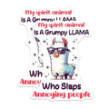 (2 Pack) Grumpy Llama Stickers - Funny Quotes - Animal Stickers - Cute Llama - 5" On Longest Side - Sticks to Smooth Flat Surfaces - Made in USA - BMCS5655