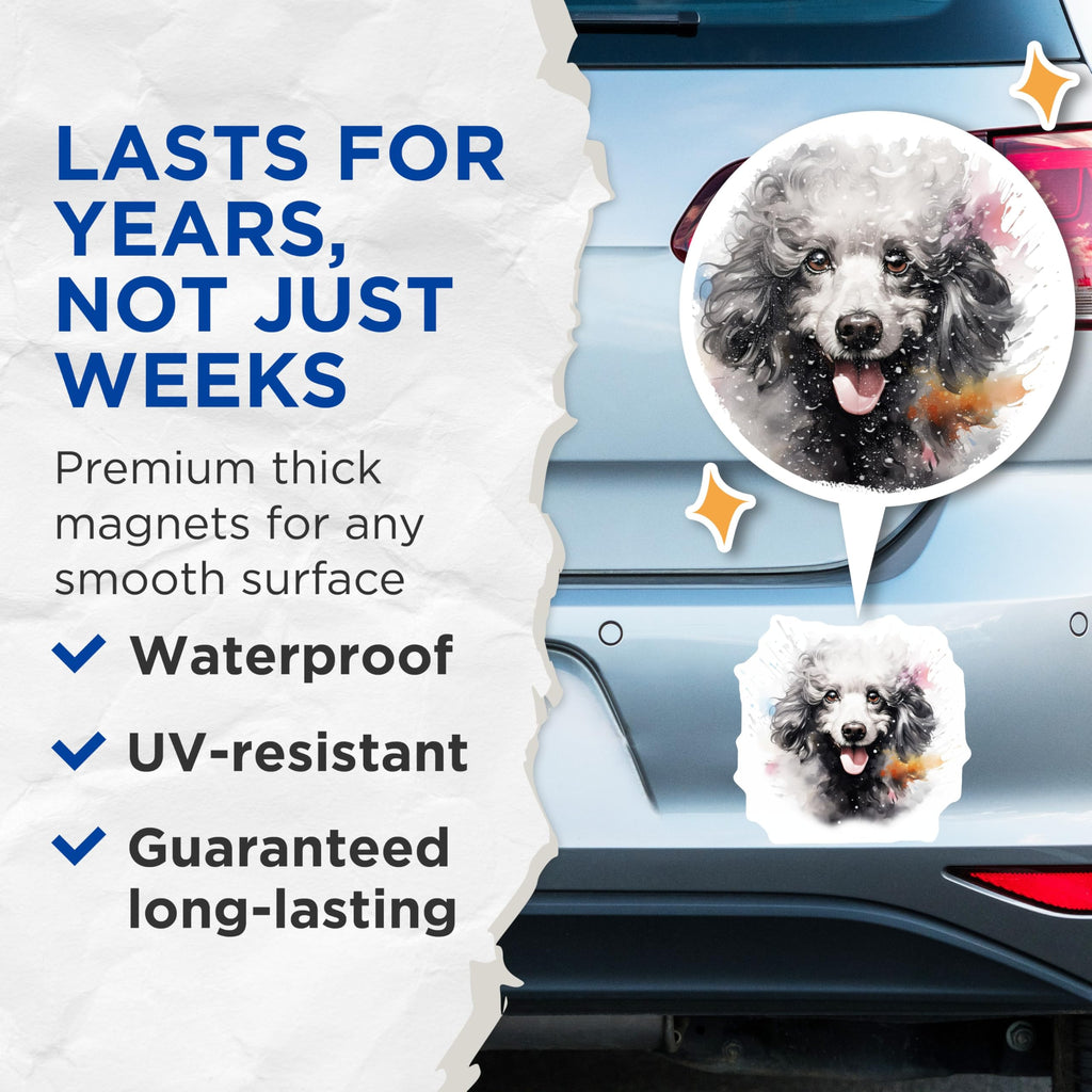 (2 Pack) Poodle Dog Magnets - Watercolor Poodle Art - Dog Mom Decor - 5 Inches On Longest Side - Thick Durable Magnet - Made in USA - MAG29285
