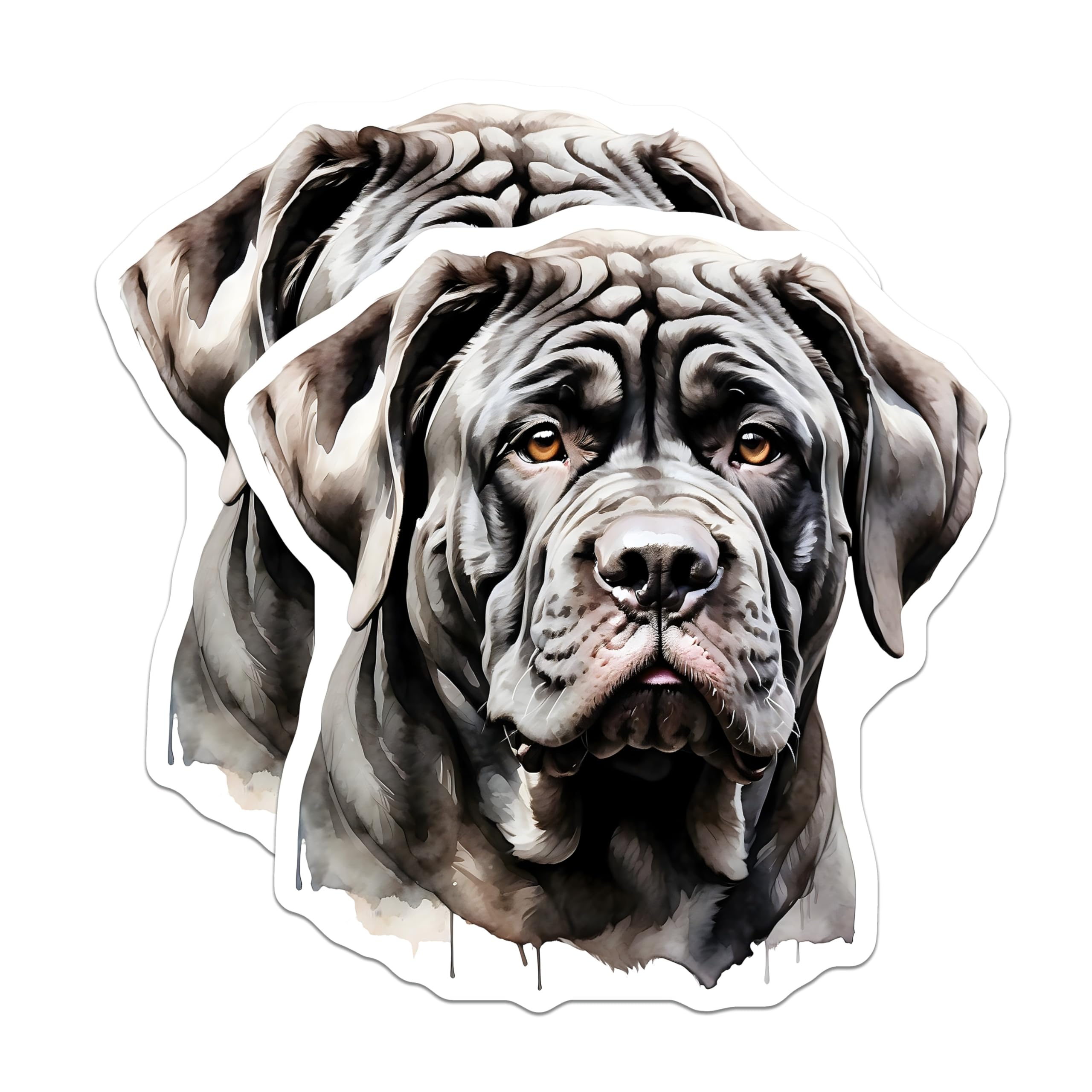 (2 Pack) Neapolitan Mastiff Magnets - Dog Breed Art - Home Decor Accessories - 5" On Longest Side - Premium Magnet - for Cars, Refrigerators, Toolboxes, Lockers - Made in USA - MAG15144