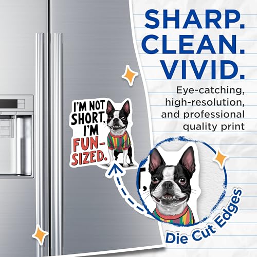 (2 Pack) I'm Not Short I'm Fun-Sized Magnets Magnets - 5" On Longest Side - Made in USA - Sticks to Refrigerators & Metal Surfaces - MAG8518