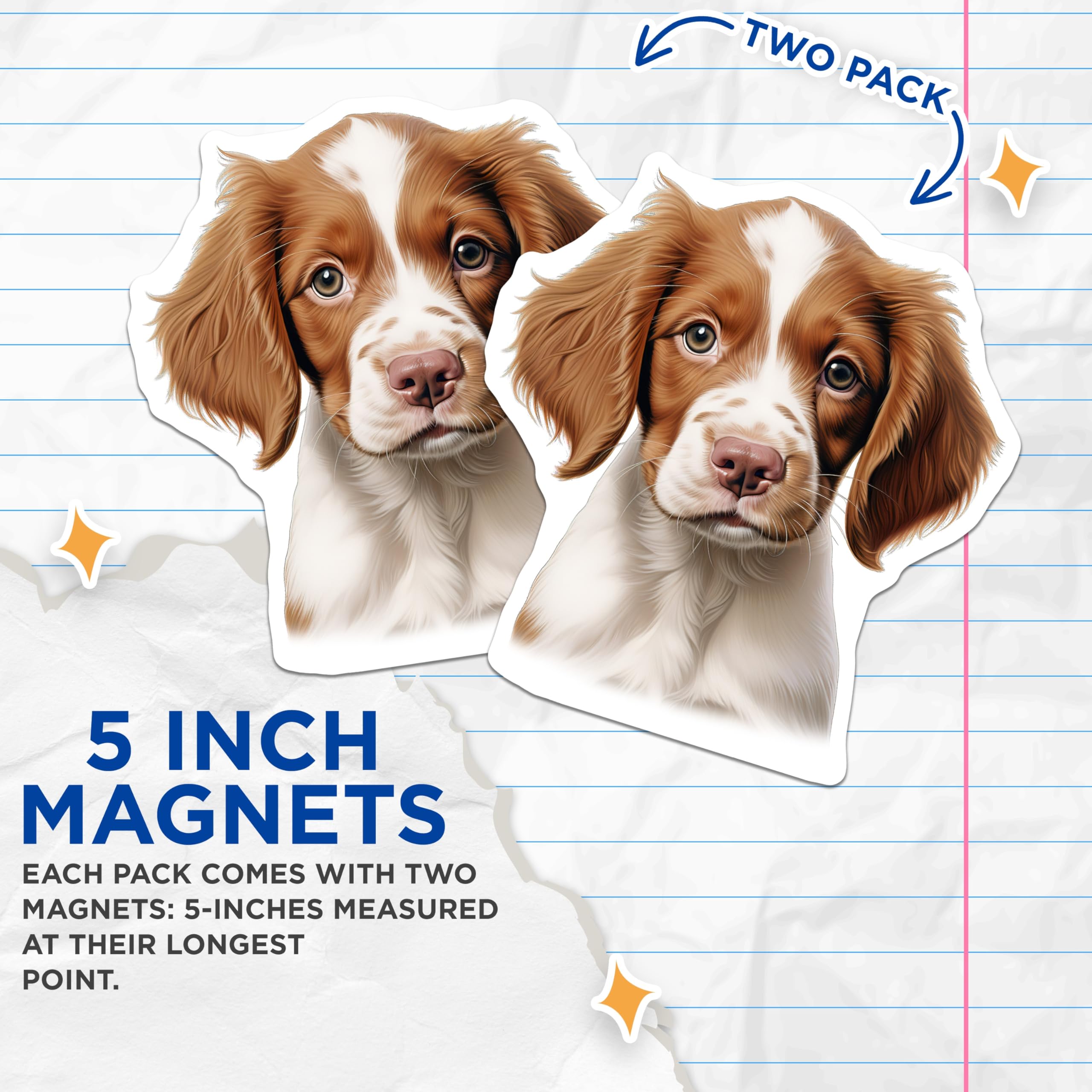 (2 Pack) Brittany Spaniel Puppy Magnets - Cute Dog Lover - Pet Owner Home Decor - 5 Inches On Longest Side - Thick Durable Magnet - Made in USA - MAG25971