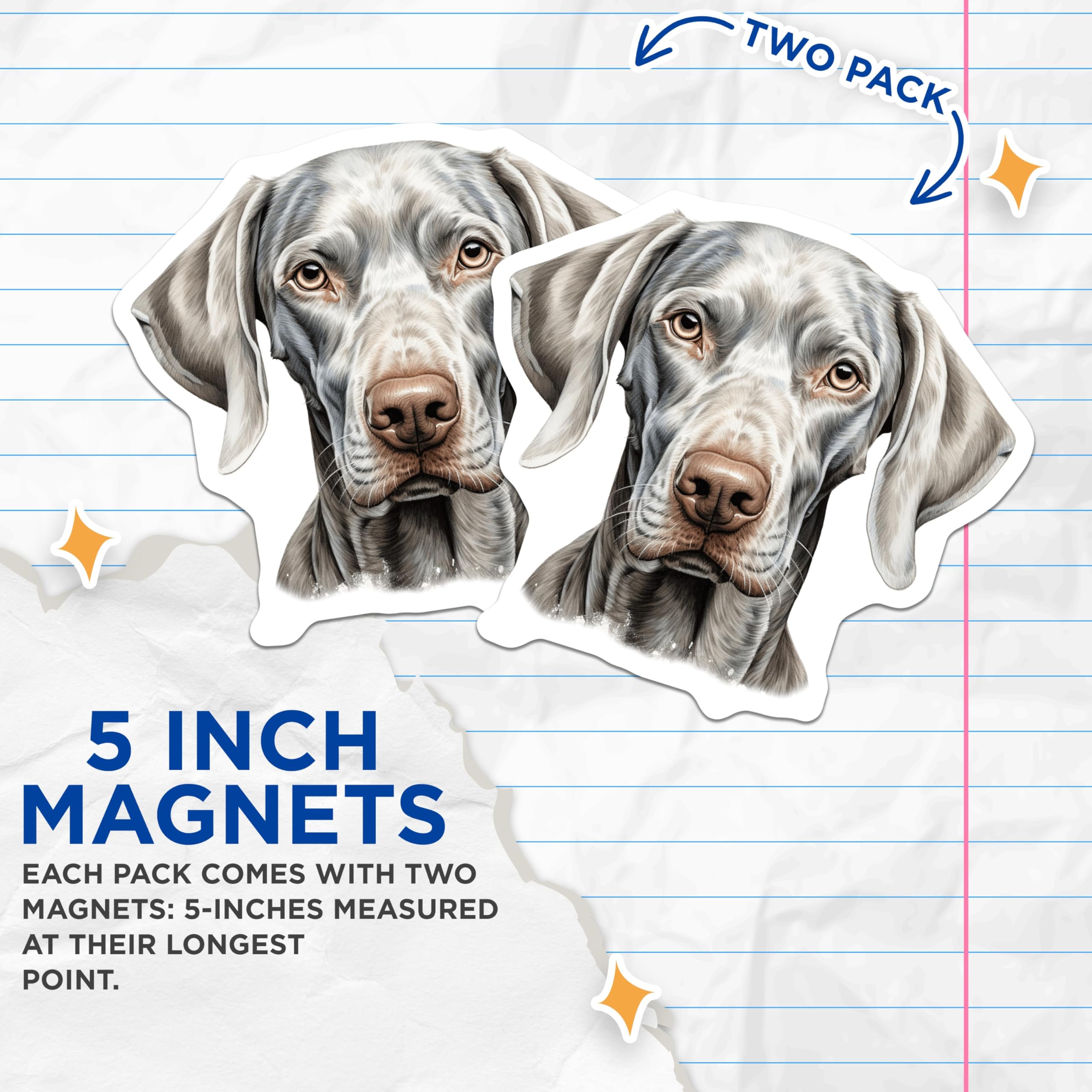 (2 Pack) Weimaraner Dog Magnets - Elegant Canine Portrait Art - Silver Gray Pointer Breed Decor - Animal Lovers Display - 5 Inches On Longest Side - Thick Durable Magnet - Made in USA - MAG24045