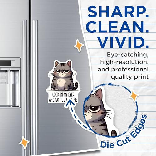 (2 Pack) Look in My Eyes Cat Magnets - Funny Cat Quote Magnets - Animal Lover Magnets - 5" On Longest Side - for Cars, Refrigerators, Toolboxes, Lockers - Made in USA BMCS3129
