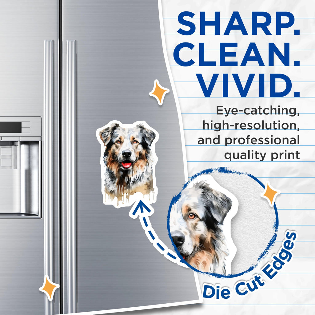 (2 Pack) Australian Shepherd Magnets - Watercolor Dog Art - Pet Lover Fridge Decor - 5 Inches On Longest Side - Thick Durable Magnet - Made in USA - MAG28431