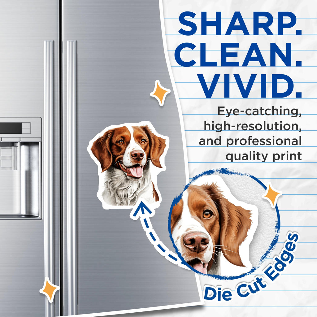 (2 Pack) Brittany Spaniel Magnets - Pet Dog Portrait Art - Happy Canine Refrigerator Decor - Animal Lover Collection - 5 Inches On Longest Side - Thick Durable Magnet - Made in USA - MAG24121
