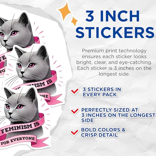 (3 Pack) Feminism Cat Decals - Pro Feminist Decal - Social Justice Stickers - 3 Inches On Longest Side - Easy Peel & Apply - Made in USA - 3MCS7117