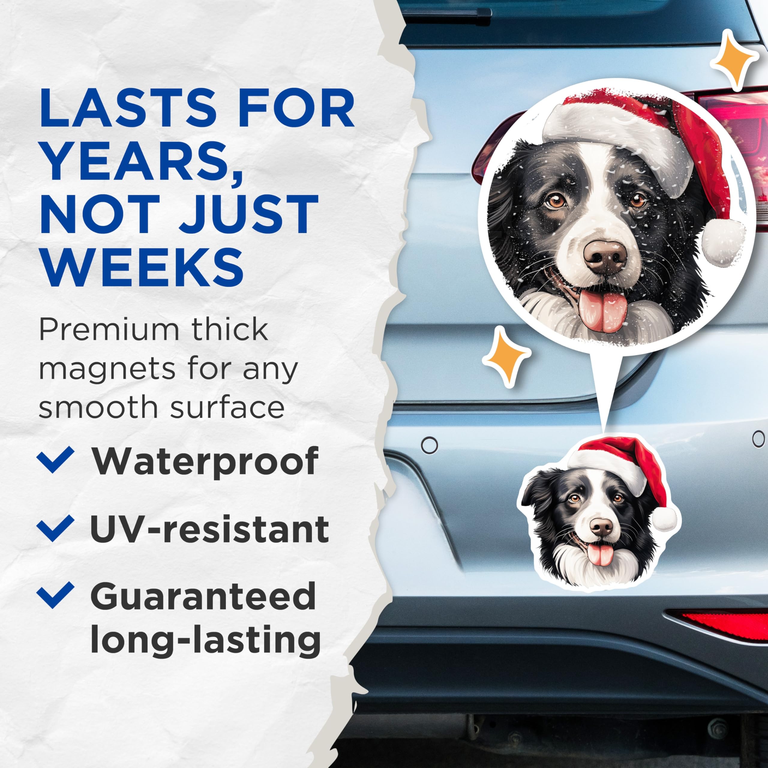 (2 Pack) Border Collie Christmas Magnets - Santa Hat Dog Decor - Holiday Pet Owner Idea - 5 Inches On Longest Side - Thick Durable Magnet - Made in USA - MAG29050
