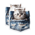 (2 Pack) Kitten in Pocket Magnets - Cute Cat Illustration - Fridge Decor - 5" On Longest Side - Premium Magnet - for Cars, Refrigerators, Toolboxes, Lockers - Made in USA - MAG16062