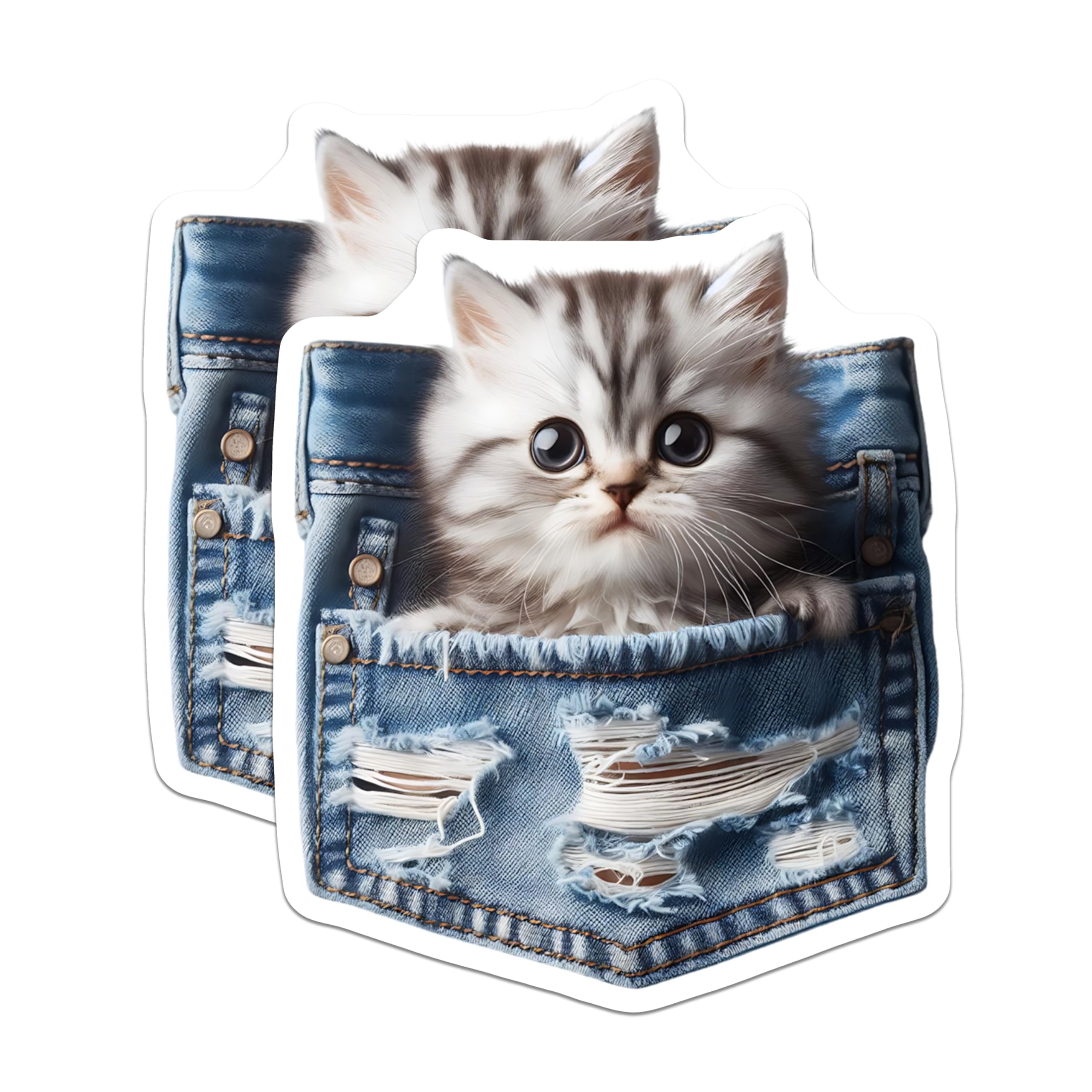 (2 Pack) Kitten in Pocket Magnets - Cute Cat Illustration - Fridge Decor - 5" On Longest Side - Premium Magnet - for Cars, Refrigerators, Toolboxes, Lockers - Made in USA - MAG16062