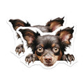 (2 Pack) Animal Enthusiast Home Decor Magnet - 5" On Longest Side - Sticks to Smooth Flat Surfaces - Made in USA - MAG10231