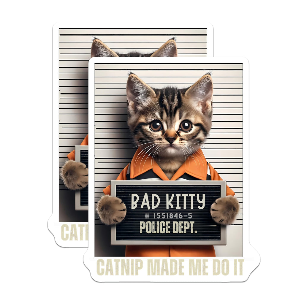 (2 Pack) Bad Kitty Mugshot Magnets - Funny Catnip Made Me Do It - Cute Kitten Refrigerator Decor - Tabby Cat Lover Items - 5 Inches On Longest Side - Thick Durable Magnet - Made in USA - MAG22845