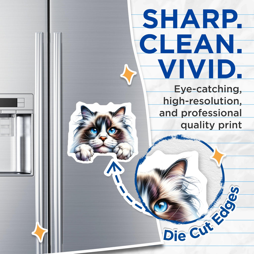 (2 Pack) Ragdoll Cat Magnets - Blue Eyed Kitty - Cute Kitten Refrigerator Magnets - 5" On Longest Side - Premium Magnet - for Cars, Refrigerators, Toolboxes, Lockers - Made in USA - MAG15060