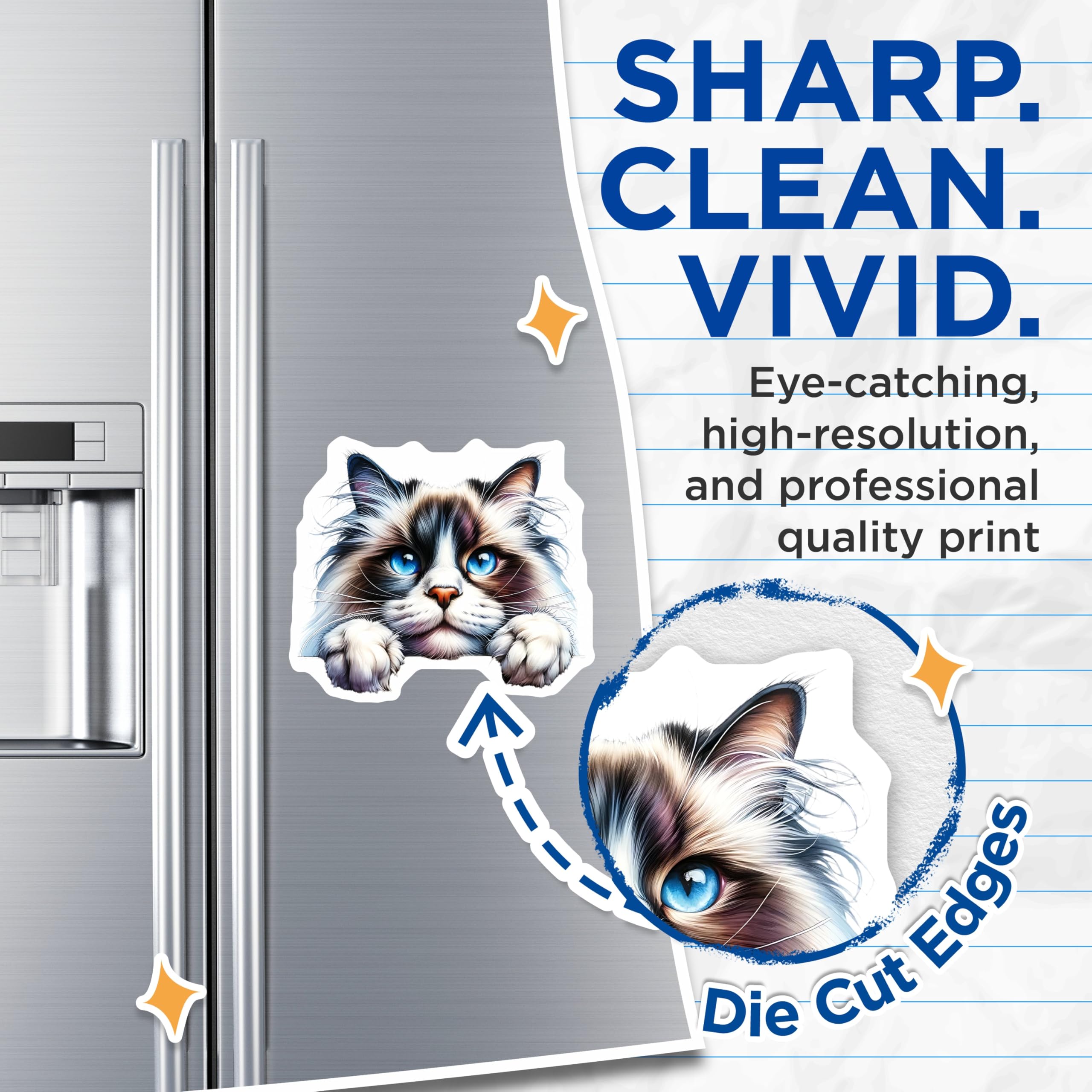 (2 Pack) Ragdoll Cat Magnets - Blue Eyed Kitty - Cute Kitten Refrigerator Magnets - 5" On Longest Side - Premium Magnet - for Cars, Refrigerators, Toolboxes, Lockers - Made in USA - MAG15060