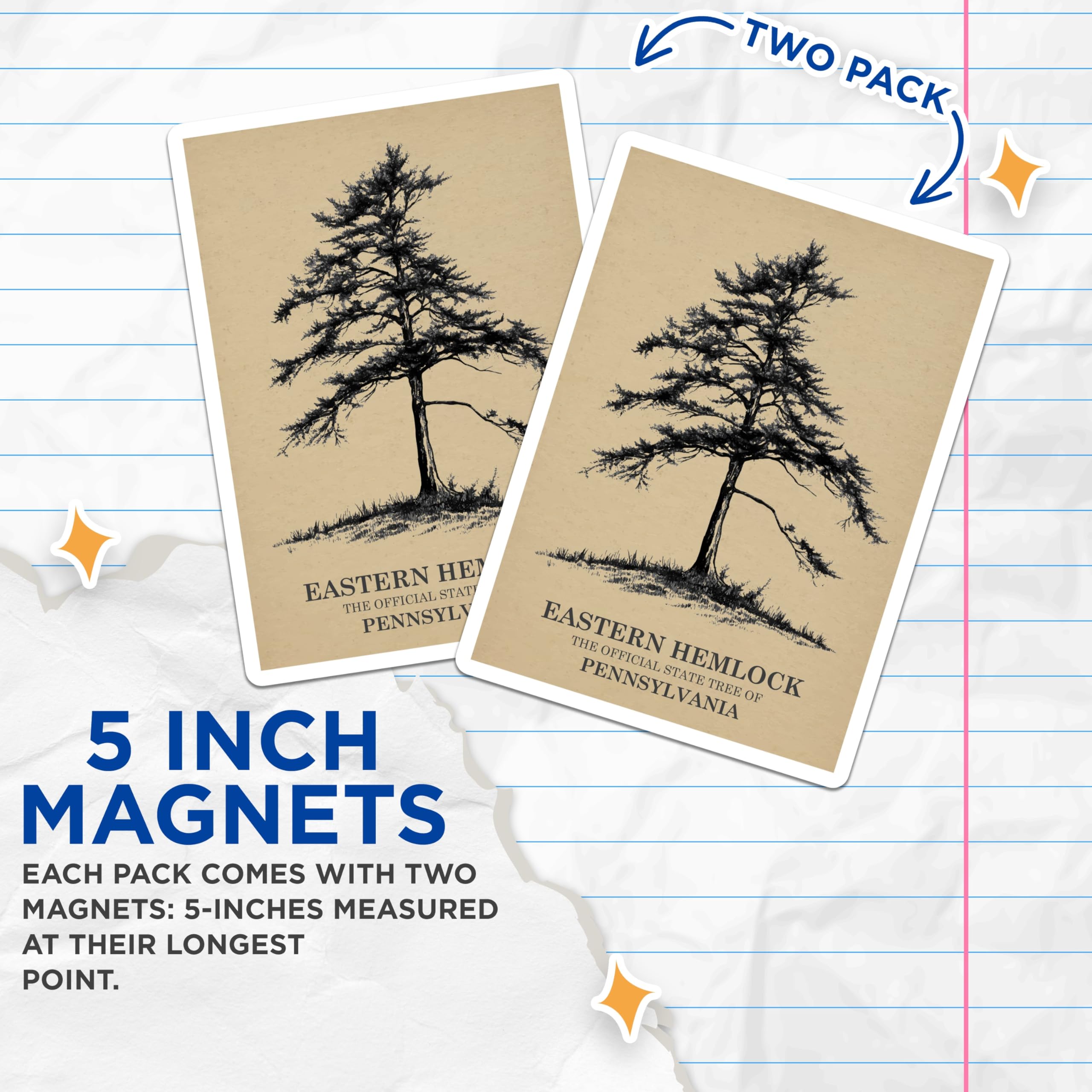 (2 Pack) Hemlock Tree Magnets - Pennsylvania State Tree - Nature Art Magnets - 5" On Longest Side - Premium Magnet - for Cars, Refrigerators, Toolboxes, Lockers - Made in USA - MAG18355
