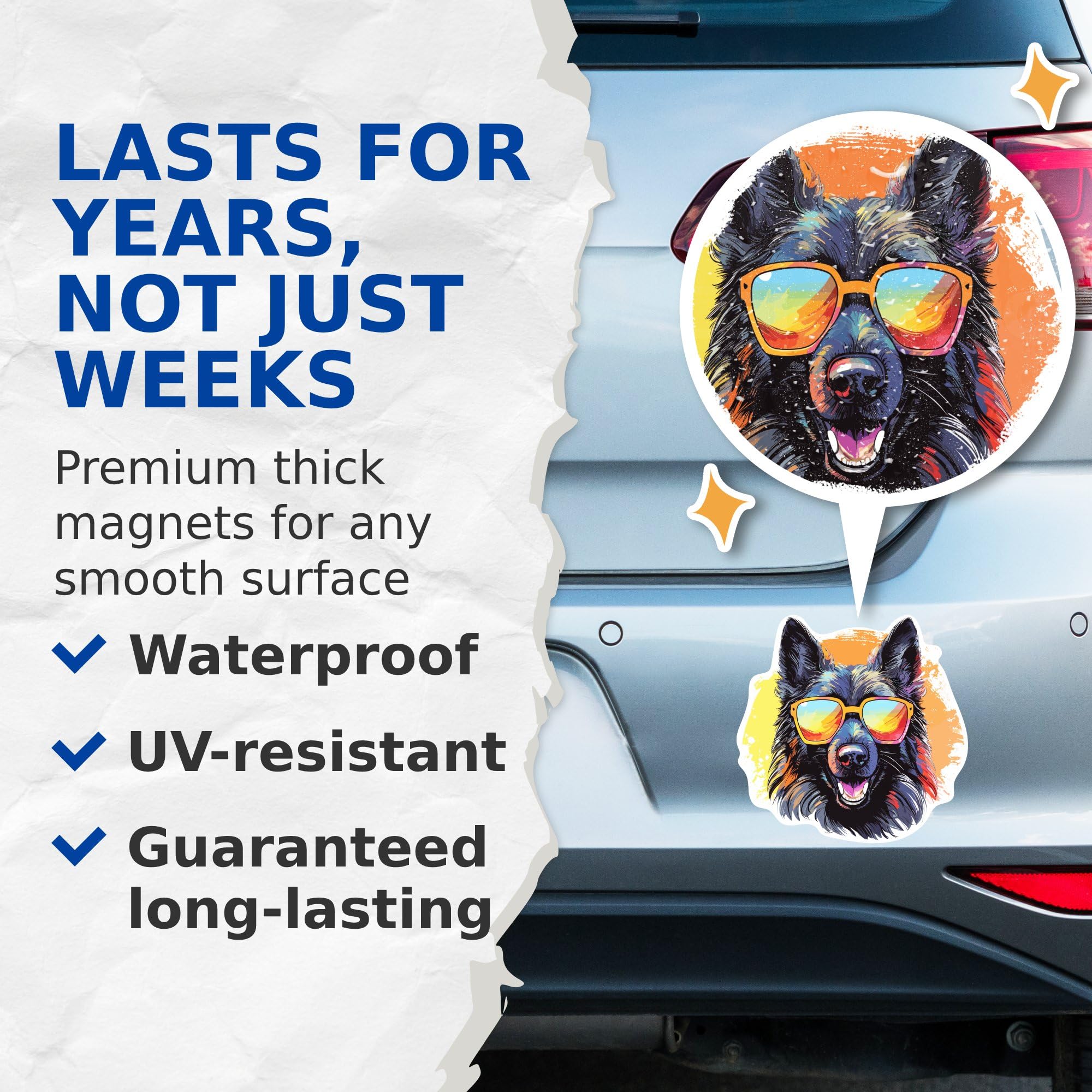 (2 Pack) Belgian Sheepdog Dog Magnets - Belgian Sheepdog with Sunglasses - Choose FromOver 100 Dog Breeds - 5" On Longest Side - Premium Magnet - Made in USA - MAG0315