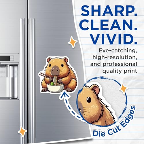 (2 Pack) Funny Kitchen Decor Magnet - 5" On Longest Side - Sticks to Smooth Flat Surfaces - Made in USA - MAG9917