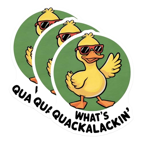 (3 Pack) Cool Duck Decals - What's Quackalackin' - Funny Animal Decals - 3 Inches On Longest Side - Easy Peel & Apply - Made in USA - 3MCS8290