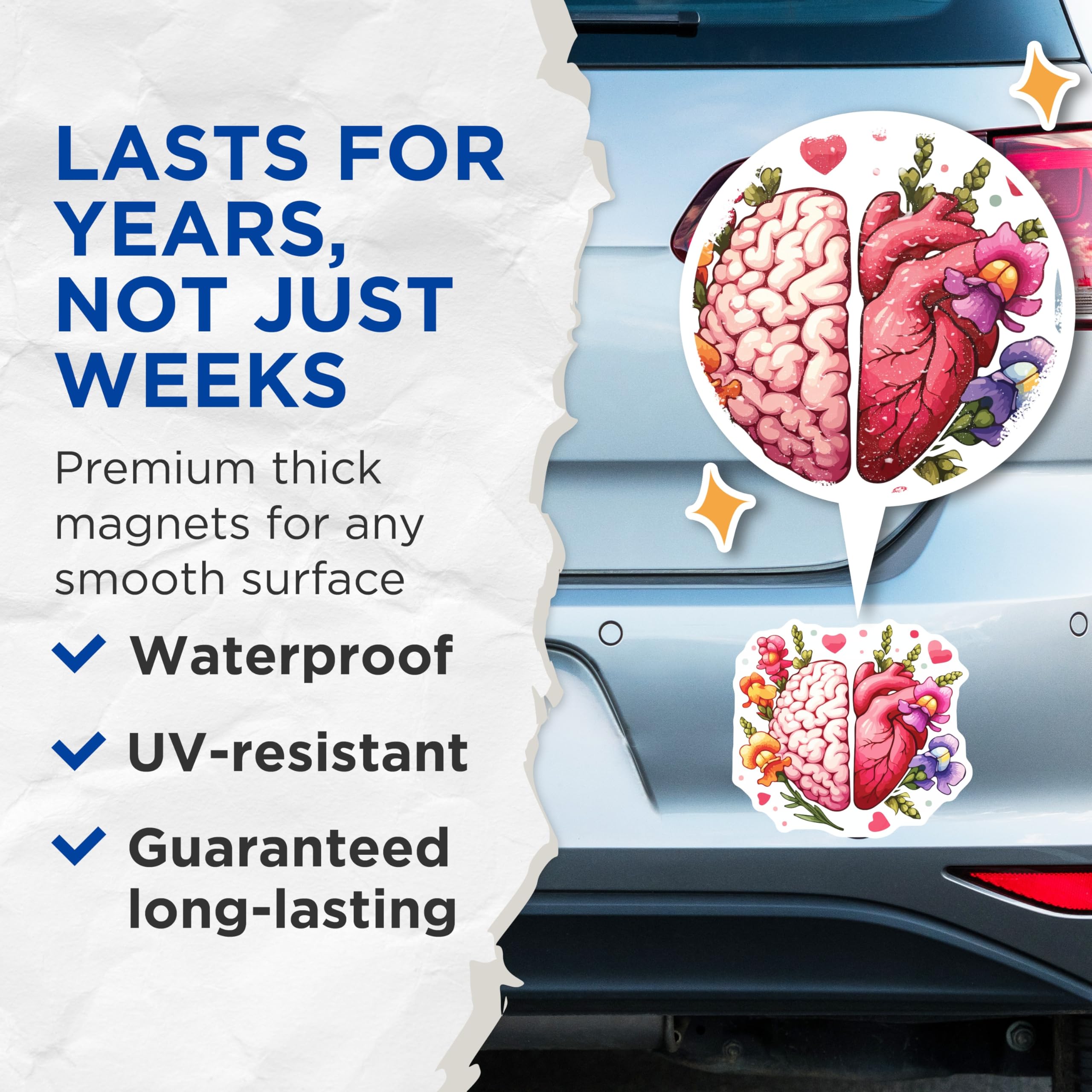 (2 Pack) Brain Heart Magnets - Floral Anatomy Decor - Emotional Balance Art - 5 Inches On Longest Side - Thick Durable Magnet - Made in USA - MAG19849