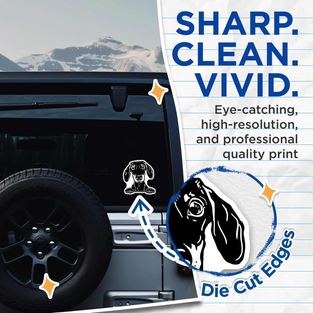 (2 Pack) Dachshund Dog Stickers - Cute Dog Decals - Black and White Dog Art Stickers for Laptops - 5" On Longest Side - Sticks to Smooth Flat Surfaces - Made in USA - BMCS4048