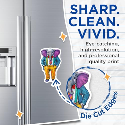 (2 Pack) Quirky Home Decor Magnet - 5" On Longest Side - Sticks to Smooth Flat Surfaces - Made in USA - MAG9509