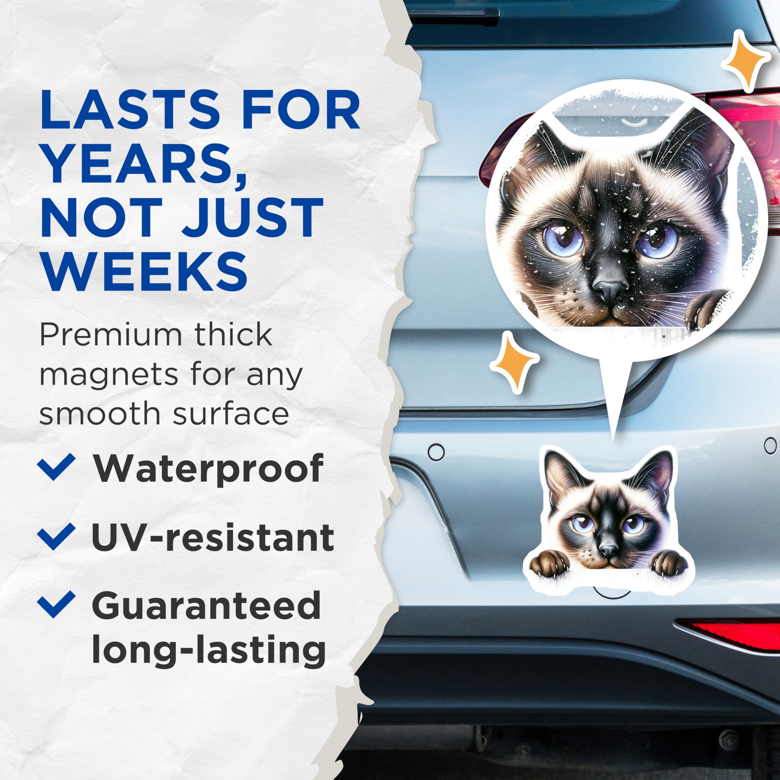 (2 Pack) Siamese Cat Magnets - Cute Kitten Decor - Fridge Decoration - 5" On Longest Side - Premium Magnet - for Cars, Refrigerators, Toolboxes, Lockers - Made in USA - MAG15930