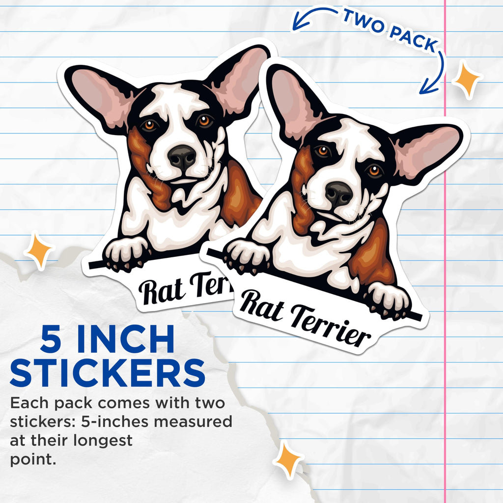 (2 Pack) Rat Terrier Dog Stickers - Cute Dog Breed Stickers - Pet Lover Sticker Pack - 5" On Longest Side - Sticks to Smooth Flat Surfaces - Made in USA - BMCS4219