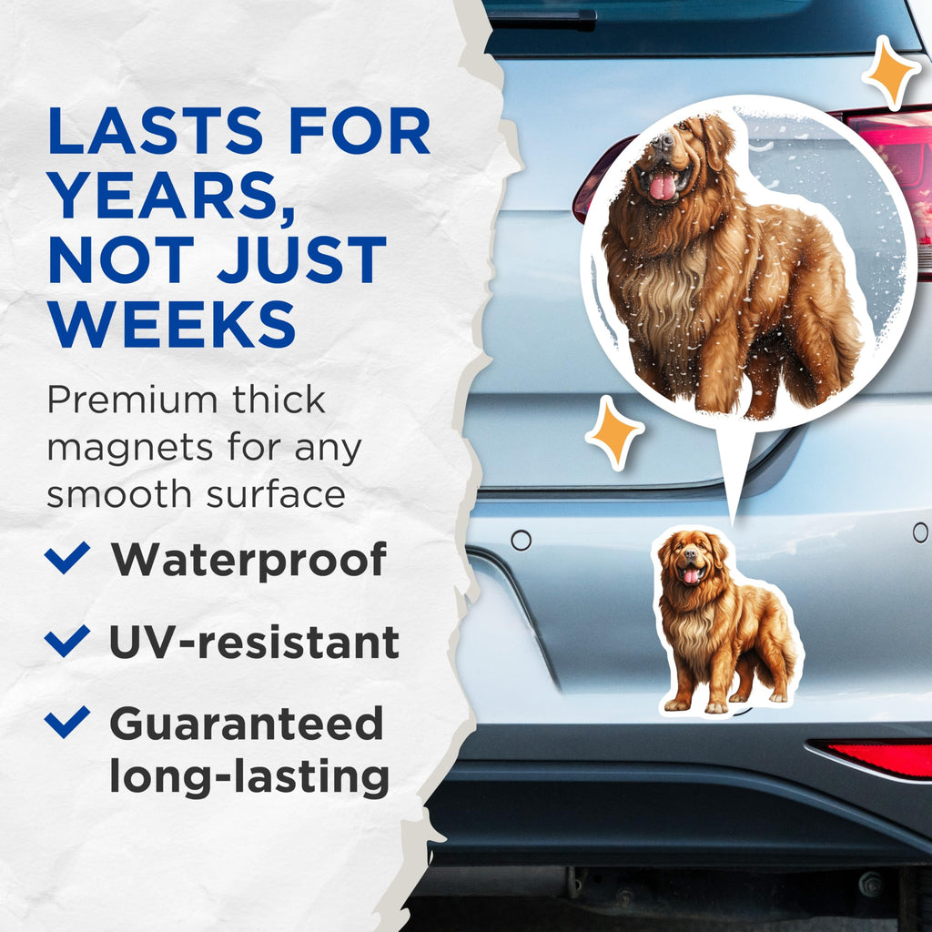 (2 Pack) Tibetan Mastiff Magnets - Fluffy Dog Breed - Pet Lover Accents - Majestic Canine - 5 Inches On Longest Side - Thick Durable Magnet - Made in USA - MAG30476