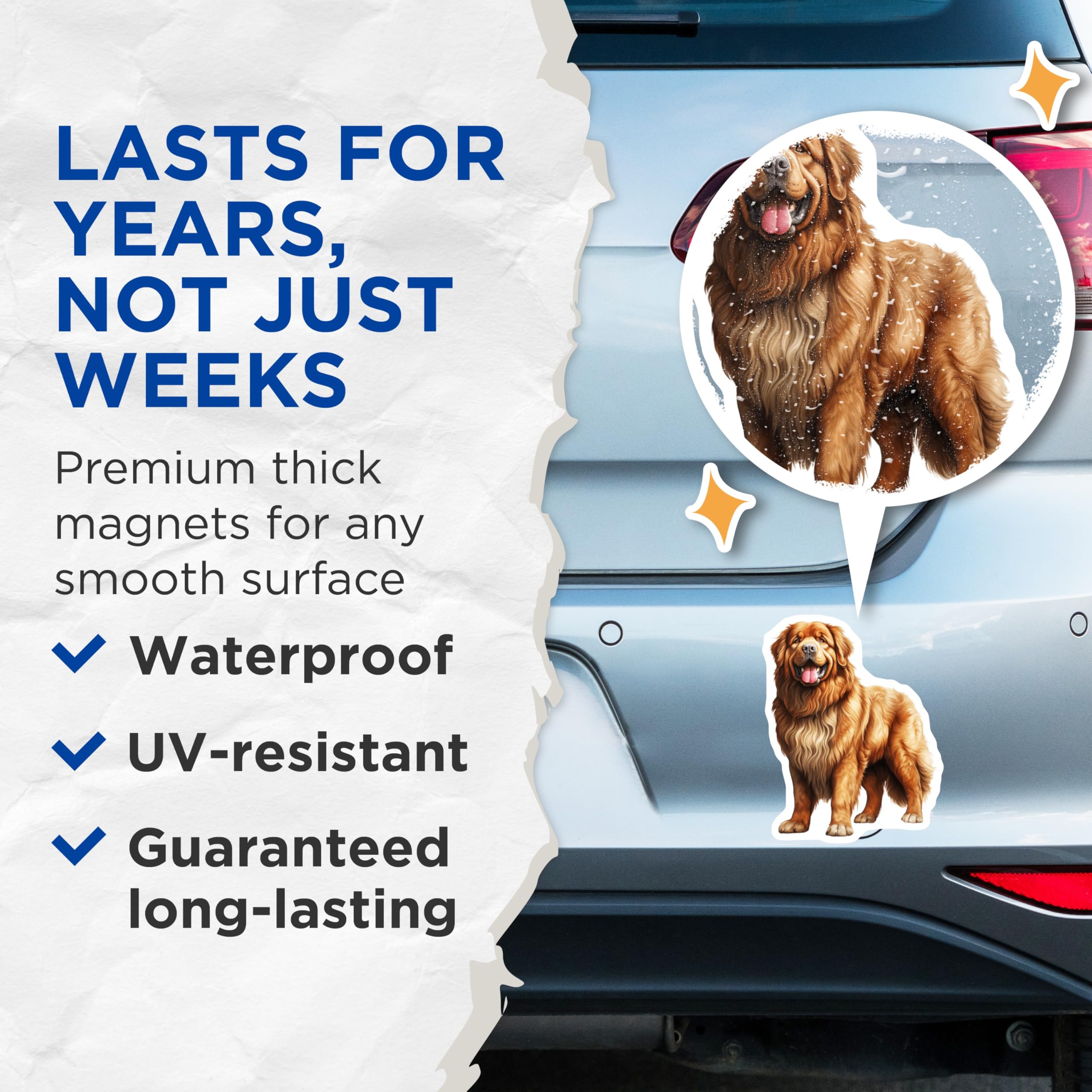 (2 Pack) Tibetan Mastiff Magnets - Fluffy Dog Breed - Pet Lover Accents - Majestic Canine - 5 Inches On Longest Side - Thick Durable Magnet - Made in USA - MAG30476